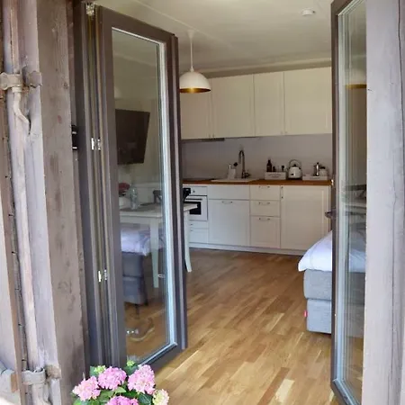 Kuninga Studio Apartmán Pärnu