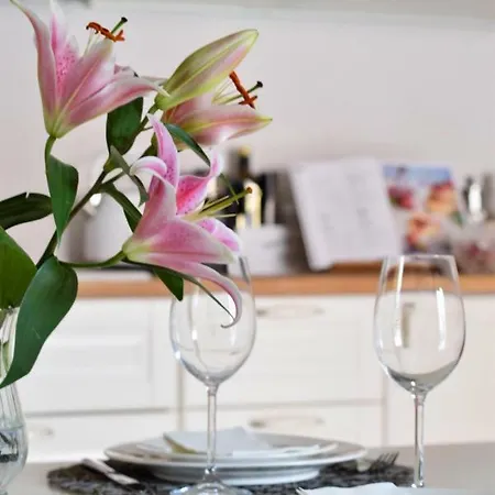 Kuninga Studio Apartmán Pärnu